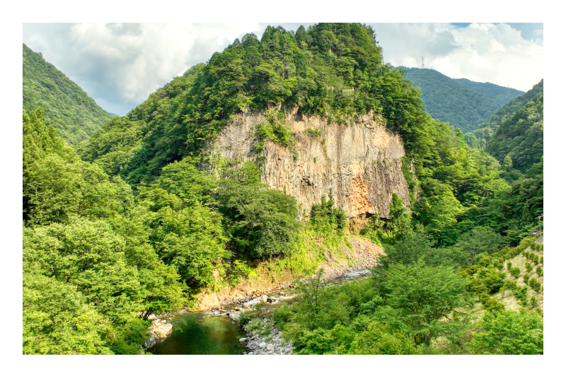 [object Object],[object Object],[object Object],[object Object],[object Object]